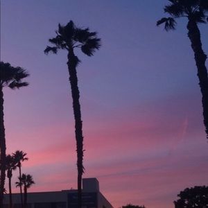 Meet your Posher, Karina